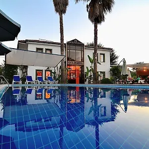 book here
